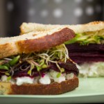 aikowiches sandwiches by aikopops